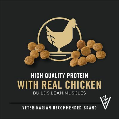 Image showing 5 th Purina Pro Plan Focus Puppy Chicken & Rice Formula Dry Dog Food