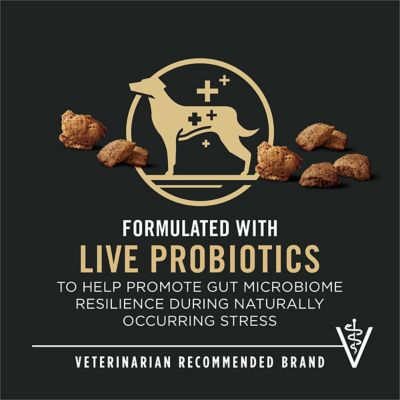 Image showing  Complete Essentials Adult Shredded Blend Lamb and Rice Formula Dry Dog Food