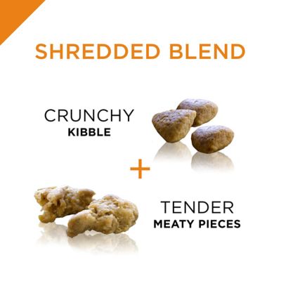 Image showing  Complete Essentials Adult Shredded Blend Lamb and Rice Formula Dry Dog Food