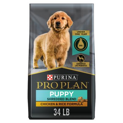 Purina Pro Plan Dry Puppy Food, FOCUS Chicken & Rice ...
