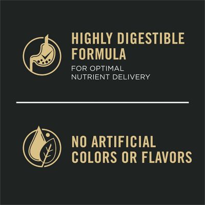 Image showing 6 th Purina Pro Plan Focus Puppy Chicken & Rice Formula Dry Dog Food