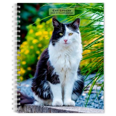 Browntrout Publishers 2026 Cat Lovers Engagement Calendar, 6 in. x 7.75 in.