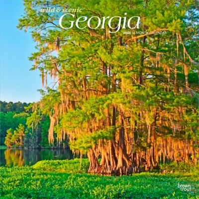 Browntrout Publishers 2026 Georgia Wild & Scenic Square Flap Calendar, 12 in. x 12 in.