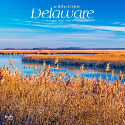 Browntrout Publishers 2026 Delaware Wild & Scenic Square Flap Calendar, 12 in. x 12 in.