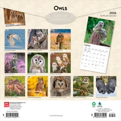 Image showing  2026 Owls Square Flap Calendar, 12 in. x 12 in.