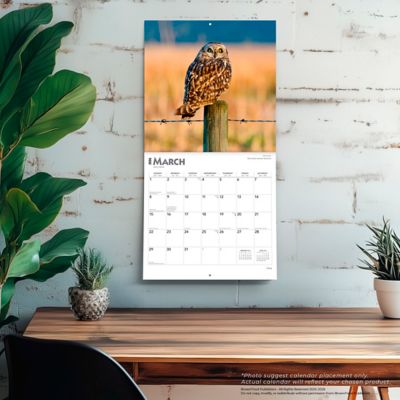 Image showing  2026 Owls Square Flap Calendar, 12 in. x 12 in.