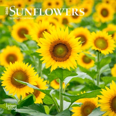 Browntrout Publishers 2026 Sunflowers Mini Calendar, 7 in. x 7 in.