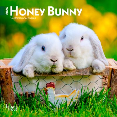 Browntrout Publishers 2026 Honey Bunny Mini Calendar, 7 in. x 7 in.
