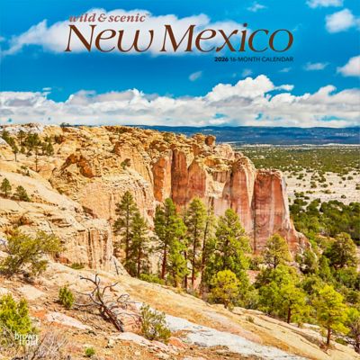 Browntrout Publishers 2026 New Mexico Wild & Scenic Square Flap Calendar, 12 in. x 12 in.