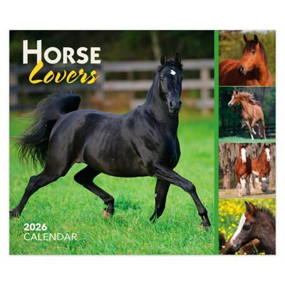 Browntrout Publishers 2026 Horse Lovers Box Calendar, 6 in. x 5 in.