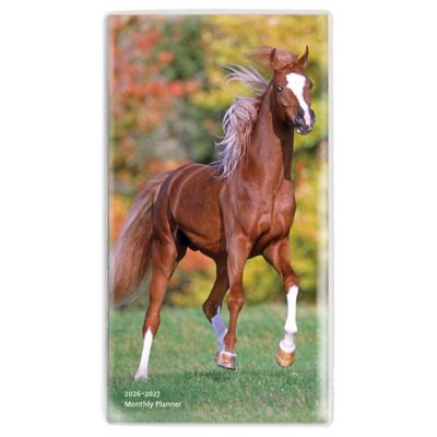 Browntrout Publishers 2026 Horse Lovers Pocket Planner Calendar, 3.5 in. x 6.5 in.