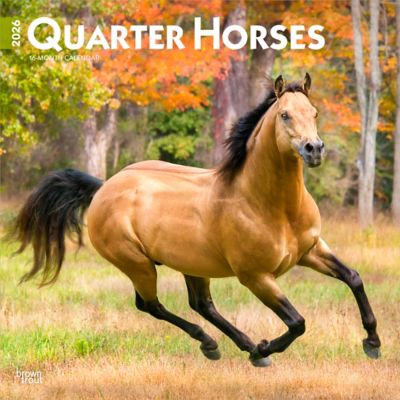 Browntrout Publishers 2026 Quarter Horses Square Flap Calendar, 12 in. x 12 in.