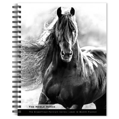 Browntrout Publishers 2026 Horse, The Noble, The BrownTrout Portrait Series Engagement Calendar, 6 in. x 7.75 in.