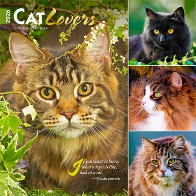 Browntrout Publishers 2026 Cat Lovers Square Flap FOIL Calendar, 12 in. x 12 in.