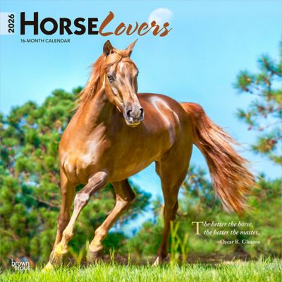Browntrout Publishers 2026 Horse Lovers Square Flap Calendar, 12 in. x 12 in.