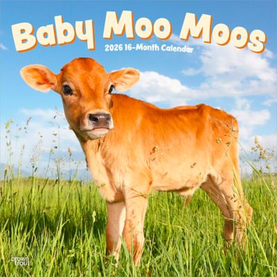 Browntrout Publishers 2026 Baby Moo Moos Square Flap Calendar, 12 in. x 12 in.