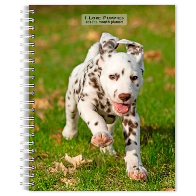 Browntrout Publishers 2026 Puppies, I Love Engagement Calendar, 6 in. x 7.75 in.