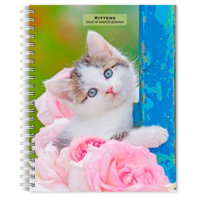 Browntrout Publishers 2026 Kittens Engagement Calendar, 6 in. x 7.75 in.