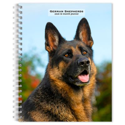 Browntrout Publishers 2026 German Shepherds Engagement Calendar, 6 in. x 7.75 in.
