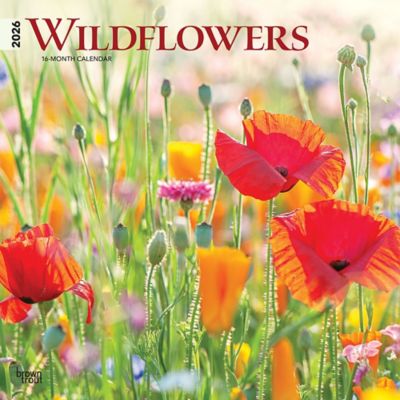 Browntrout Publishers 2026 Wildflowers Square Flap Calendar