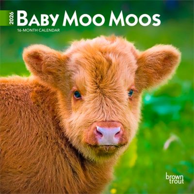 Browntrout Publishers 2026 Baby Moo Moos Mini Calendar, 7 in. x 7 in.