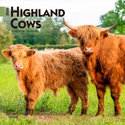 Browntrout Publishers 2026 Highland Cows Mini Calendar, 7 in. x 7 in.