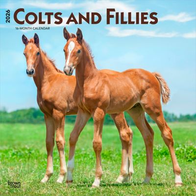 Browntrout Publishers 2026 Colts and Fillies Square Flap Calendar, 12 in. x 12 in.