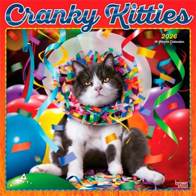 Browntrout Publishers 2026 Avanti Cranky Kitties Square Flap FOIL Calendar, 12 in. x 12 in.