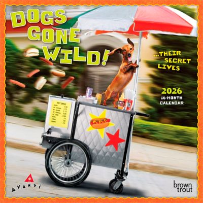 Browntrout Publishers 2026 Avanti Dogs Gone Wild Mini Calendar, 7 in. x 7 in.