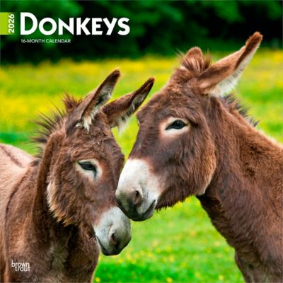 Browntrout Publishers 2026 Donkeys Square Flap Calendar, 12 in. x 12 in.