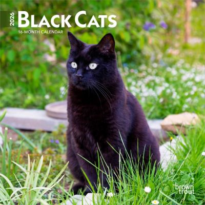 Browntrout Publishers 2026 Black Cats Mini Calendar, 7 in. x 7 in.
