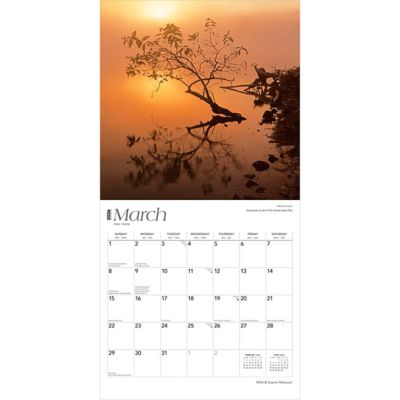 Image showing  2026 Missouri Wild & Scenic Square Flap Calendar, 12 in. x 12 in.