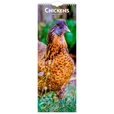 Browntrout Publishers 2026 Chickens Slimline Calendar, 5.7 in. x 16.5 in.