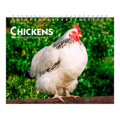 Browntrout Publishers 2026 Chickens Double View Easel Calendar, 7.5 in. x 6 in.