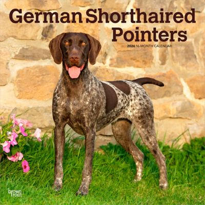 Browntrout Publishers 2026 German Shorthaired Pointers Square Flap Calendar, 12 in. x 12 in.