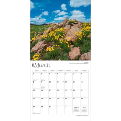 Image showing  2026 Oklahoma Wild & Scenic Square Flap Calendar, 12 in. x 12 in.