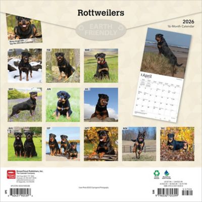 Image showing  Rottweilers 2026 Square Flap