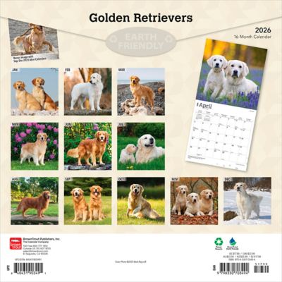 Image showing  Golden Retrievers 2026 Square Flap FOIL