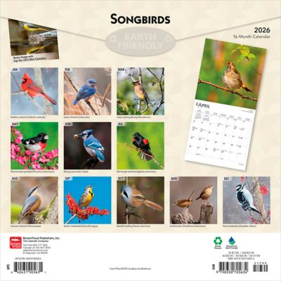 Image showing  Songbirds 2026 Square Flap FOIL