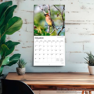 Image showing  Songbirds 2026 Square Flap FOIL