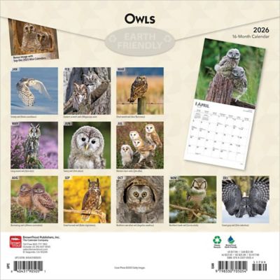 Image showing  Owls 2026 Square Flap