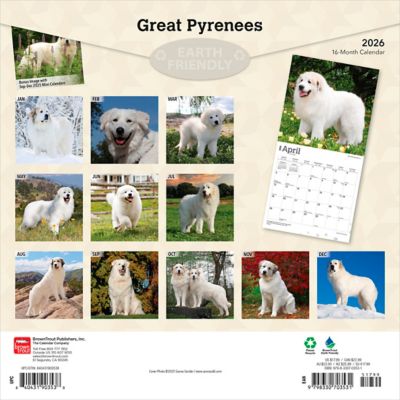 Image showing  Great Pyrenees 2026 Square Flap