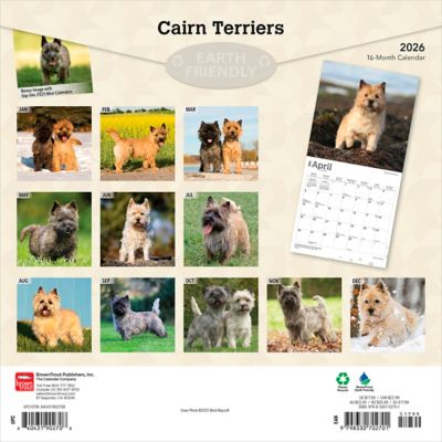 Image showing  Cairn Terriers 2026 Square Flap