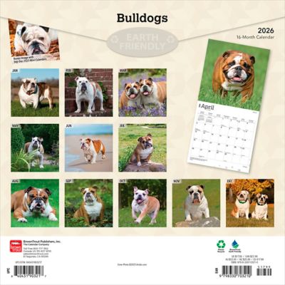 Image showing  Bulldogs 2026 Square Flap