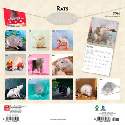 Image showing  Rats 2026 Square Flap