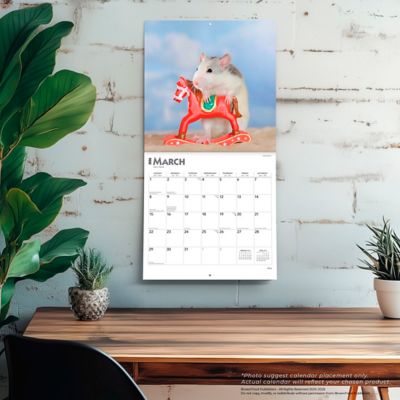 Image showing  Rats 2026 Square Flap