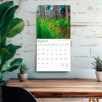 Image showing  National Parks 2026 Square Flap