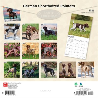 Image showing  German Shorthaired Pointers 2026 Square Flap