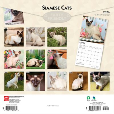 Image showing  Siamese Cats 2026 Square Flap