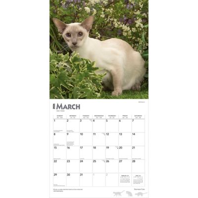 Image showing  Siamese Cats 2026 Square Flap